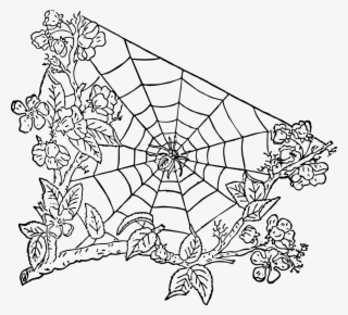 Spider Spider Web Halloween - Spider Web Transparent Png