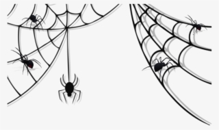Spider Sticker - Transparent Background Spider Web Png