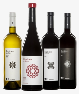 An Exciting And Long-distance Journey To Discover Our - Vino Llagrimes De Tardor