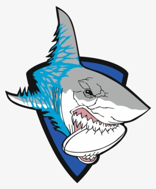 White Sharks Ivanovo - Gambar Hiu Kartun Keren