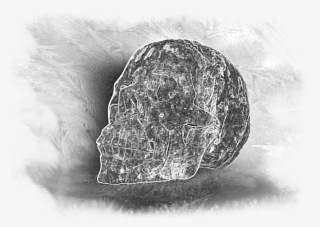 Bleed Area May Not Be Visible - Skull