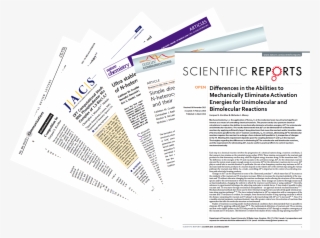 “what Sets [their] Publications Apart From The Broad - Brochure