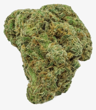 The Product Is Already In The Wishlist Browse Wishlist - Sherbet Weed Strains