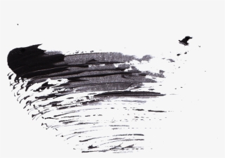 Free Download - Sketch