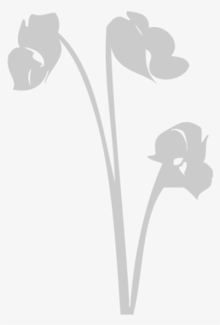 Silhouette