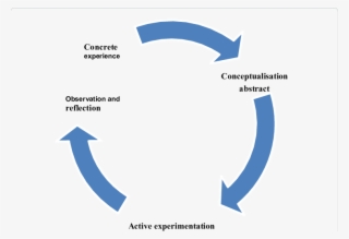 Cycle Action Reflection - 3 Stage Life Cycle Dragonfly