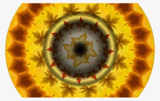 Automne-en Retard Sur La Saison - Circle