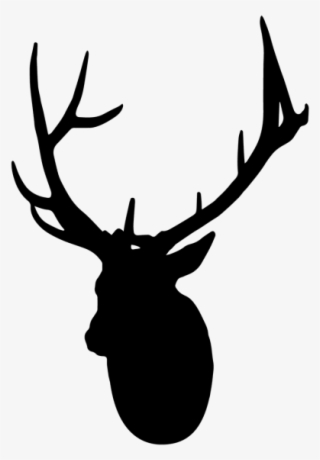 Elk