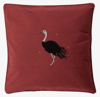 Ostrich Cushion - Ostrich