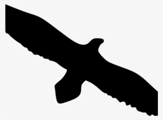 Bald Eagle Silhouette Clip Art
