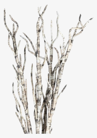 Twig From Paper