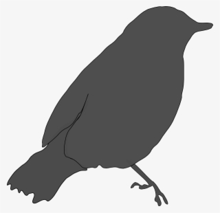 How To Set Use Gray Bird Svg Vector
