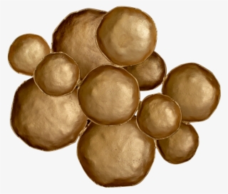 Wall Art - Circle