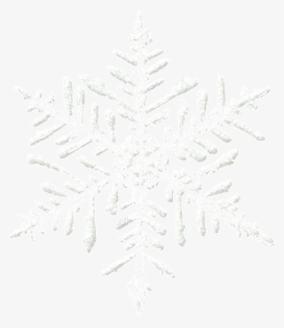 White Snowflake Png - Wilson Bentley Snowflake