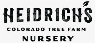 Find The Right Plant - Times Modern Font Download