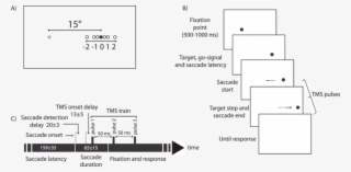 Fixation Point , Saccade Target (full Circle) And Possible - Diagram