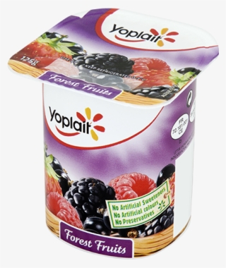 Fruit Yogurt Single Forest Fruits - Baby Yogurt