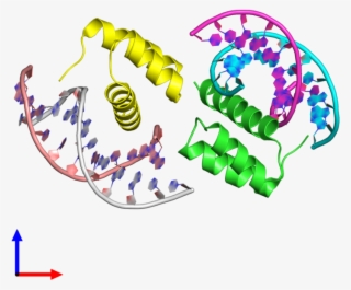 Pdb 4rbo Coloured By Chain And Viewed From The Front