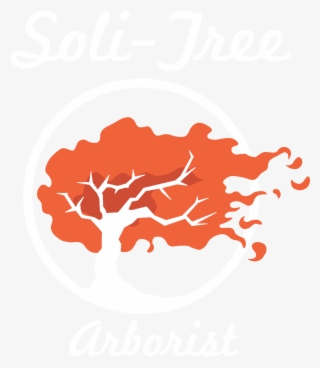 Soli-tree Logo - Abc Herron Tree Llc