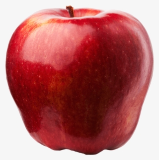 Early Red One - Red Apple