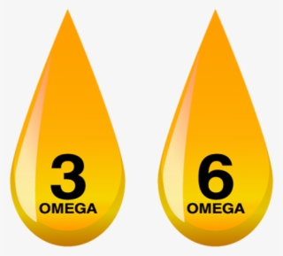 Omega 3 - Omega 3 E 6 Png
