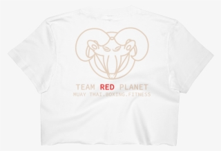 Women's And Unisex Crop Top - Crop Top