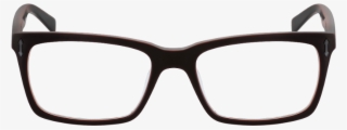 L2748 Lacoste