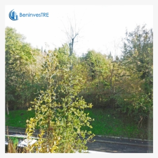 Foto/1514786f 272999 Vendita Appartamento Firenze Zona - River Birch