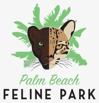 Spotlight - Las Cosas De Gina