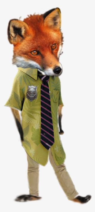 Swift Fox