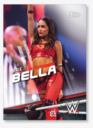 Brie Bella Profile - Wwe Brie Bella Png - 680x1548 PNG Download - PNGkit