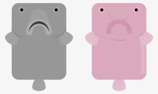 Animal - Iphone