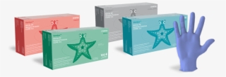Ventyv Website Starfish Banner 02-min - Box