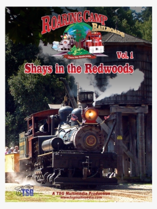Roaring Camp