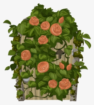 Climbing Plants Clipart Png