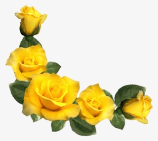 Free Png Beautiful Yellow Roses Decor Png Images Transparent - Yellow Rose Border Png