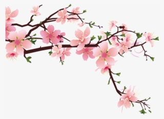 600 X 600 11 - Cherry Blossom Drawing Pixel