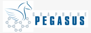 Pegasus - Graphic Design
