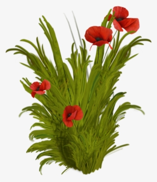 Flower Vase Png - Buon Compleanno Giada Gif