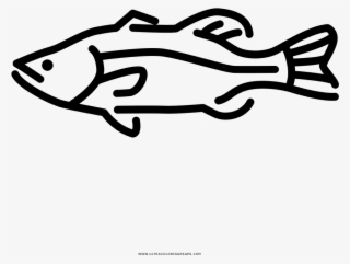 Largemouth Bass Coloring Page - Line Art
