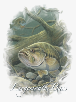 Wildlife In Deep Men's Regular Fit T-shirt - Bass