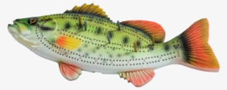 Cribbage Board - Largemouth Bass - Bass Cribbage Boards