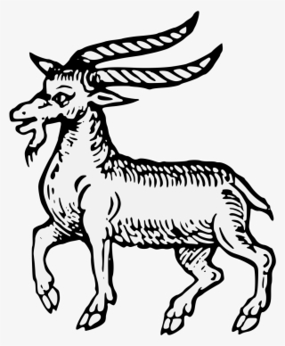 Details, Png - Illustration