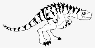 Black And White - Dinosaur Claws Image Black And White