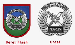 Military Insignia 3d - Tactical Air Control Party Logo
