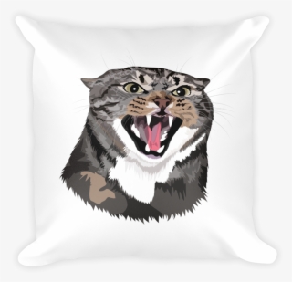 Angry Hissing Kitty Basic Pillow - Cushion