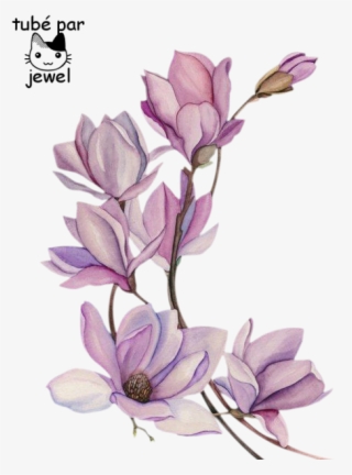 Tattoo Flower Watercolour Watercolor Flowers Painting - Flor De Magnolia Tatuaje