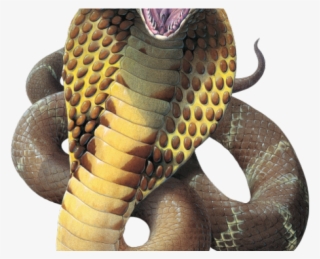 King Cobra Clipart Transparent - King Cobra Mouth Open