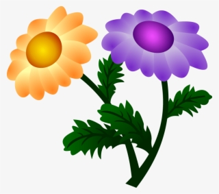Vector Chrysanthemum - Flores Com Duas Cores