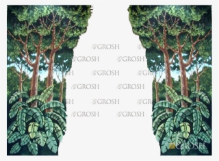 Account Login - Canoe Birch